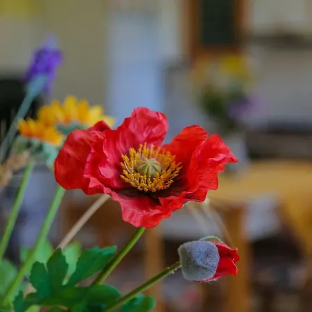 A Casa Di Franci ウルバーニア